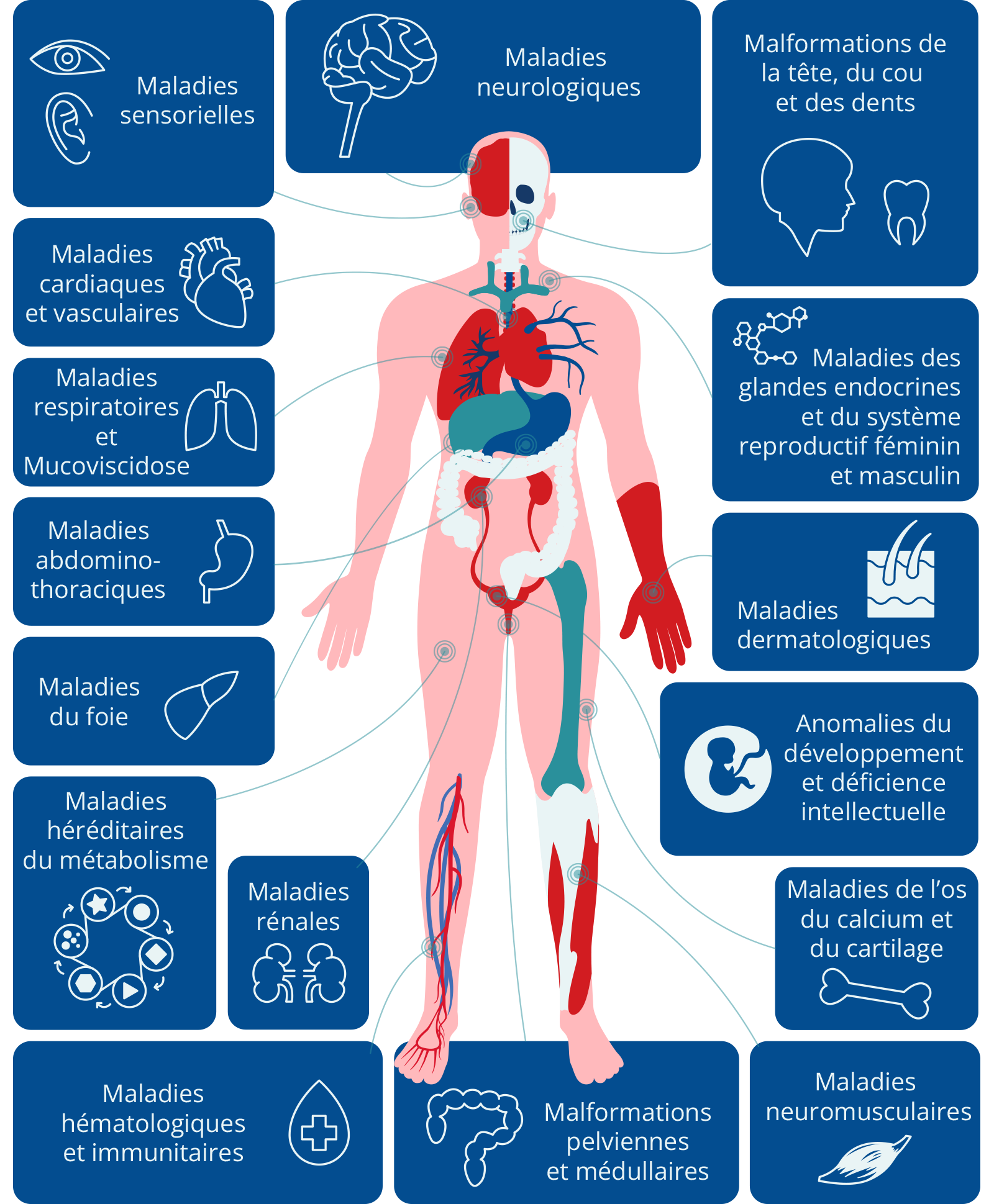 En France, environ 3 millions de personnes sont atteintes de maladies rares