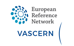 Vascern